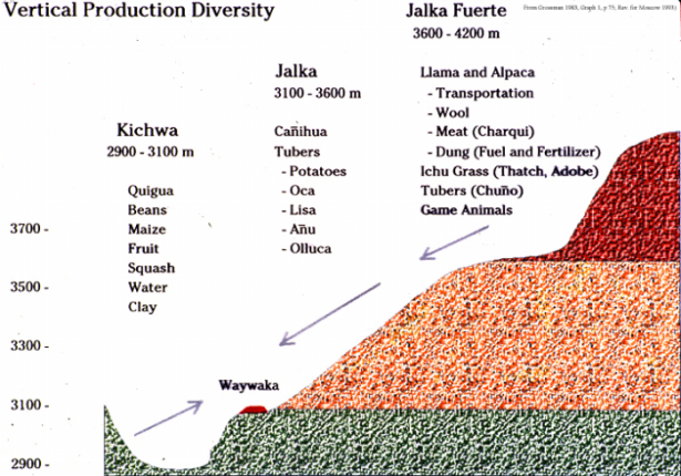 Profile of valley showing location of the Pre-Inca settlement of Waywaka between the lower agricultural areas in the valley floor and the llama and potato growing zones above